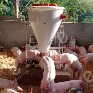 ENTREGA PORCICULTURA 1