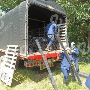 ENTREGA 13